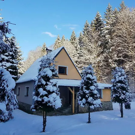 Chata Lesne Chalet